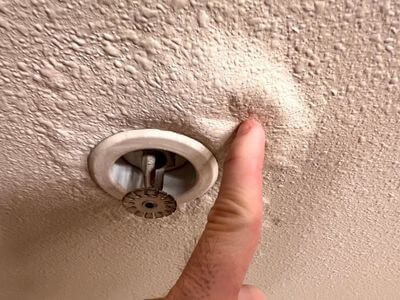 About Los Angeles Mold Remediation Pros - mold remediation experts in Los Angeles